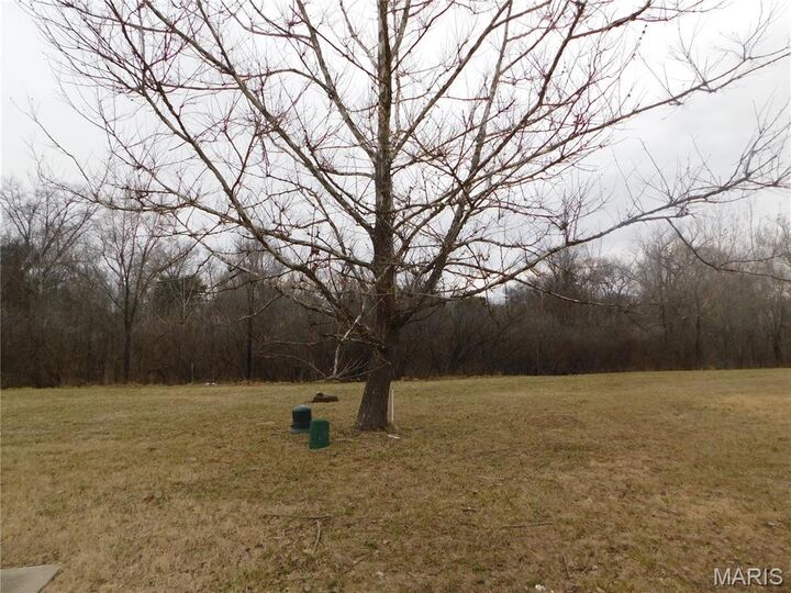 Property Photo:  12027 Parker Estates Court  MO 63033 