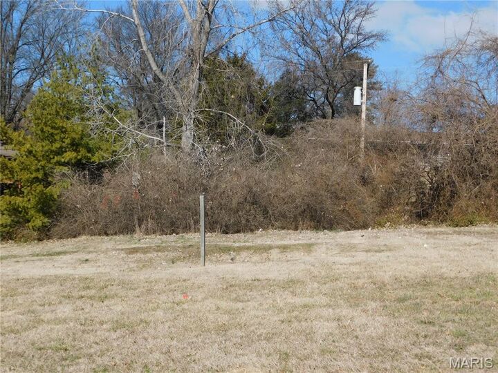 Property Photo: 3169 Somerset Green Court MO 63136