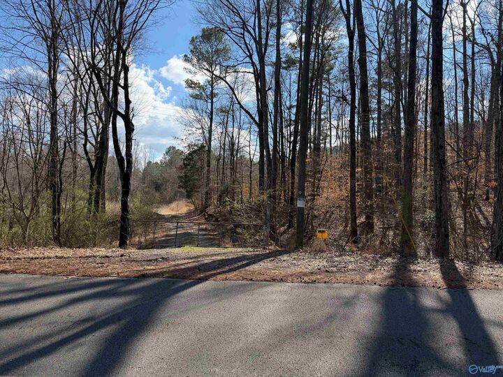 Property Photo:  #80 Snow Point Road  AL 35976 