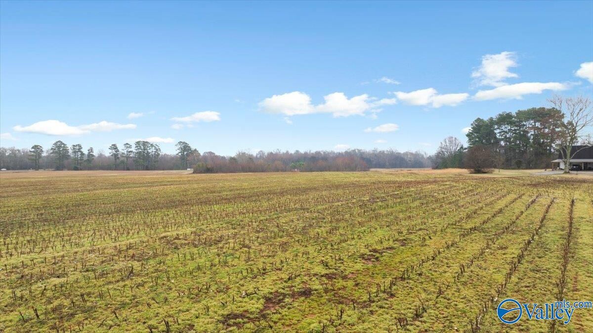 Property Photo:  5 Acres Loveless Road  AL 35750 