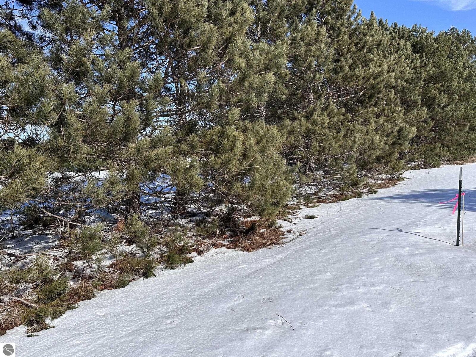 Property Photo:  Honor Highway  MI 49643 