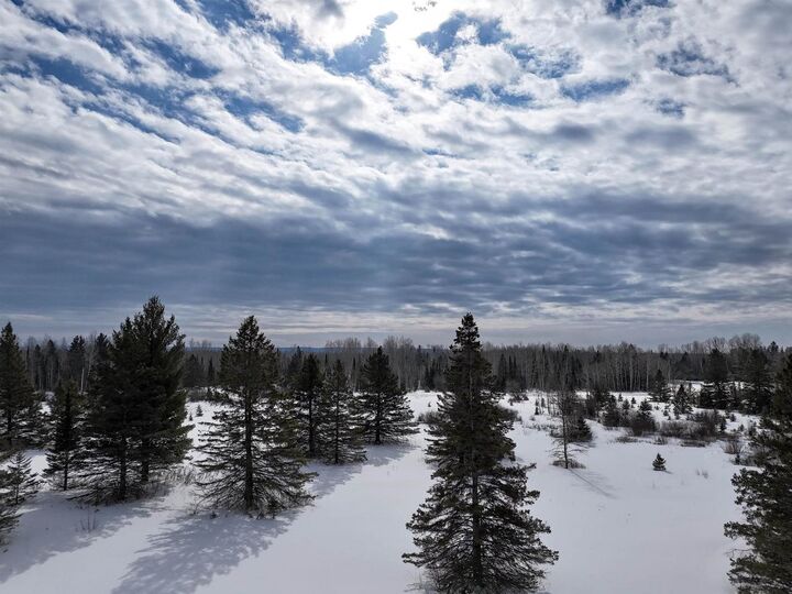 Property Photo: 89.85 Acres S Pellman Lp WI 54854