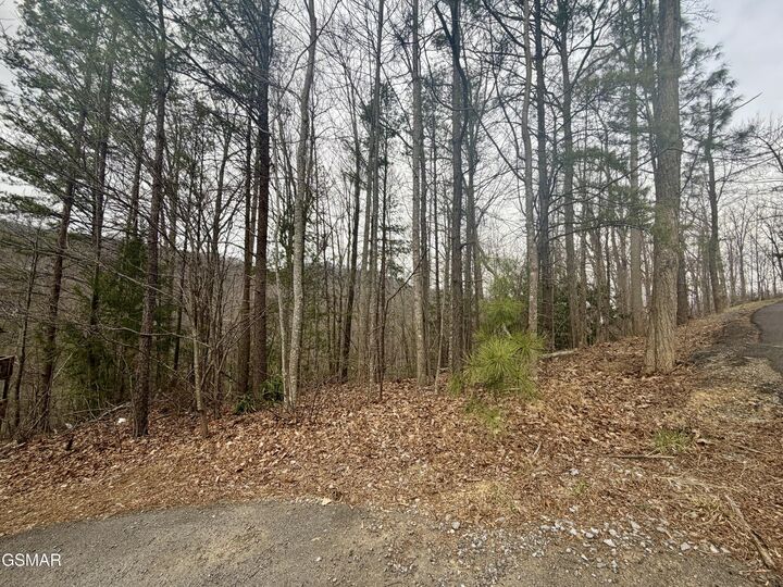Property Photo:  Lot 6 Thissa Way  TN 37738 