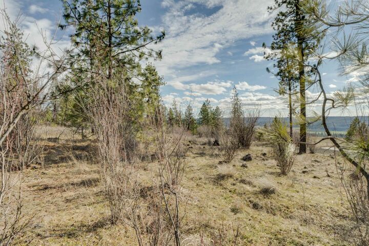 Property Photo:  6xxx Pine Ridge Dr  WA 99026 
