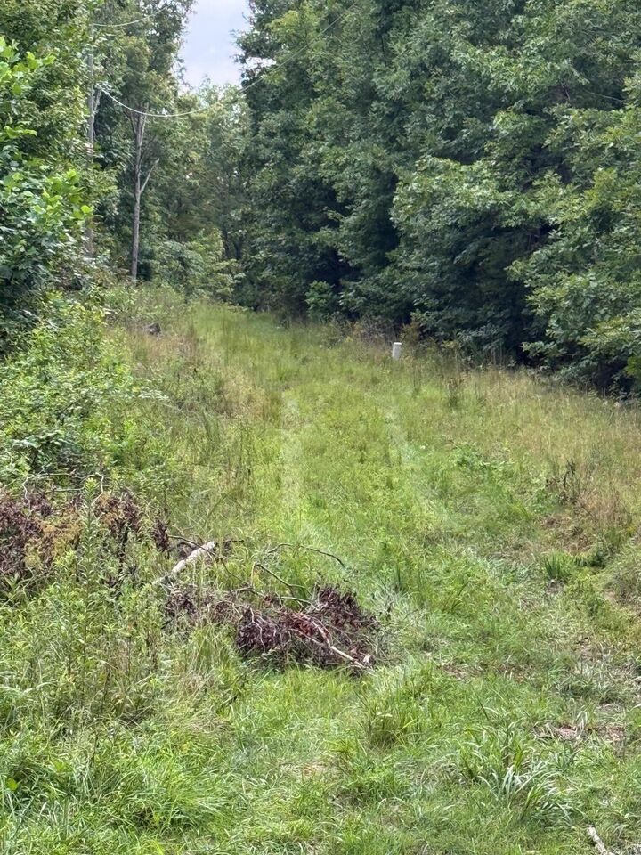 Property Photo:  0 Tatum Gulf Road  GA 30731 