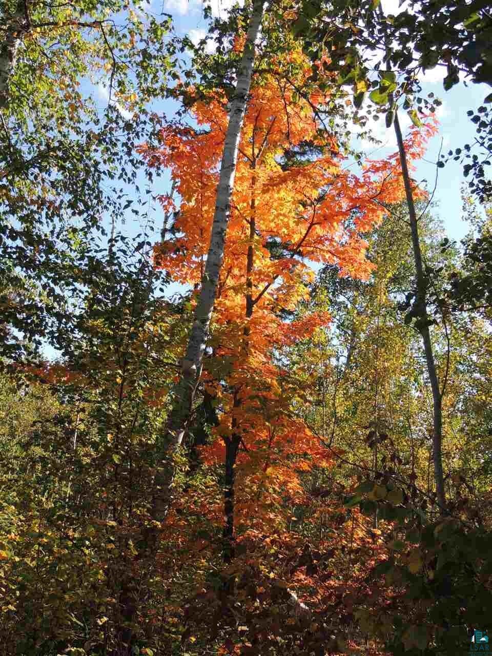 Property Photo:  X30 Isak Ridge Rd  MN 55612 