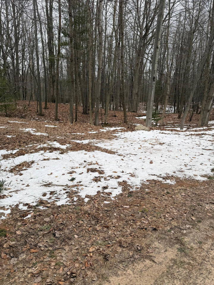 Property Photo: West Fox Farm Road MI 49660