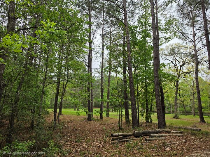 Property Photo:  186 Blythe Road  TX 75901 