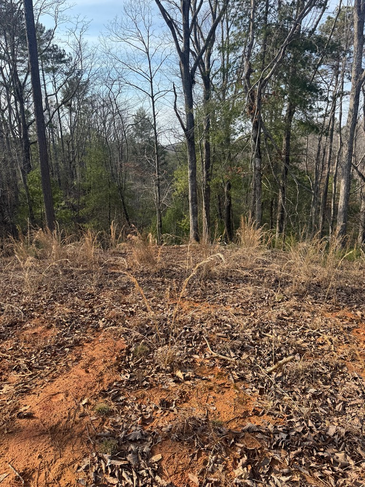 Property Photo: 208 Lake Forest Drive GA 30540