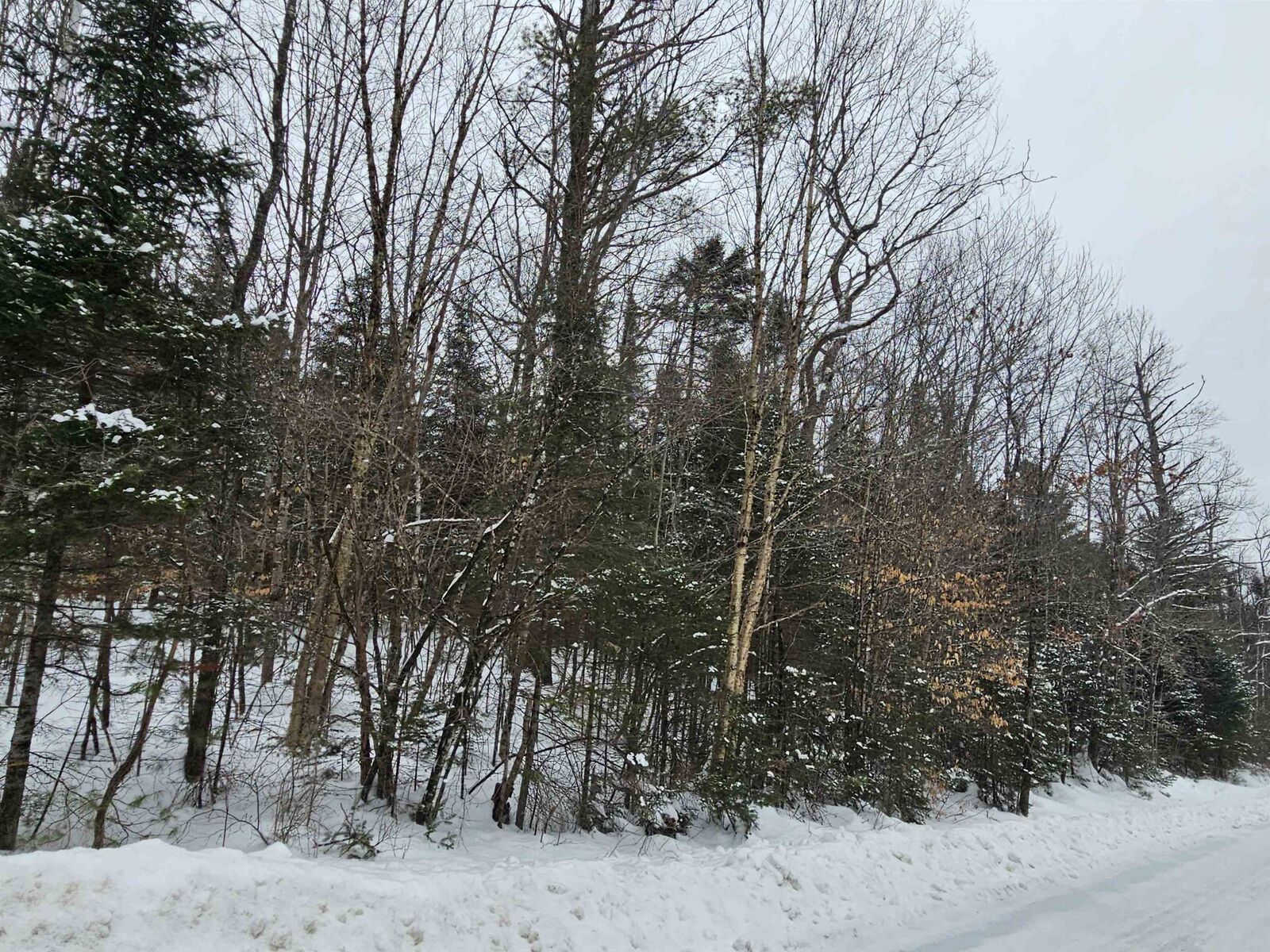 Property Photo: Lot 11 Brook Road NH 03585