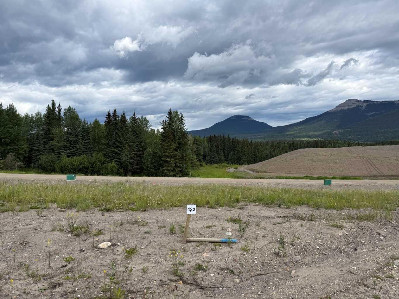 Property Photo: 432 Lily Avenue AB T0M 2H0