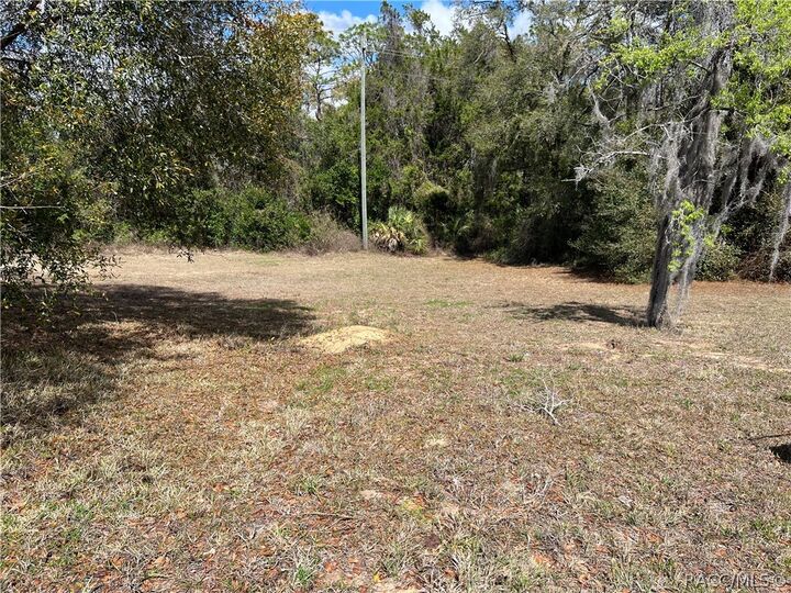 Property Photo:  420 Cabot Street  FL 34452 