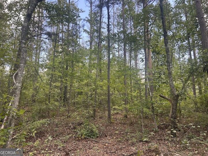 Property Photo: 111 Riversong (Tract 26) GA 30117