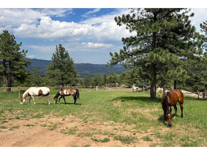 Property Photo:  1893 Colard Ln  CO 80540 