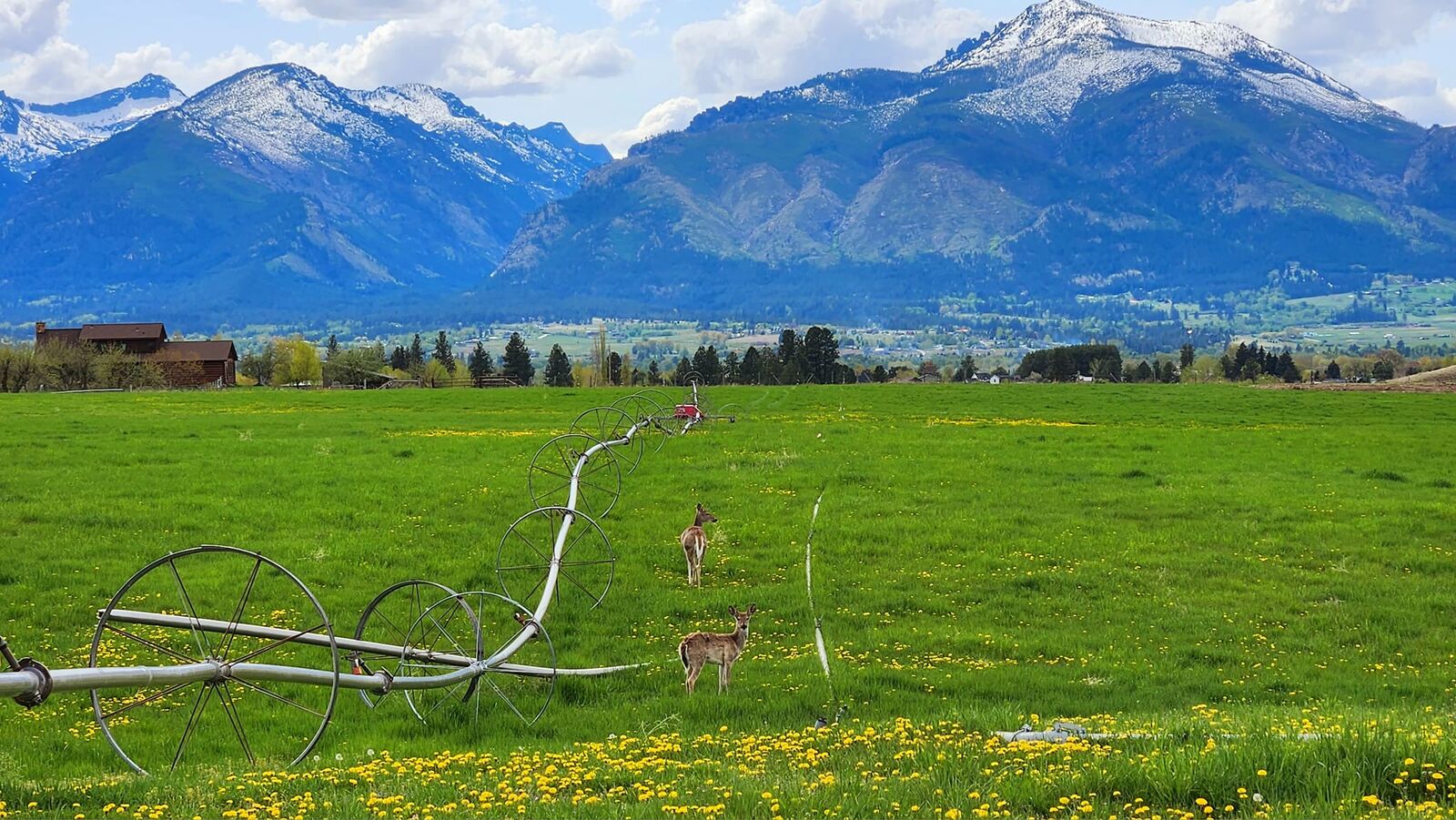 Property Photo:  Lot D Prestige Way  MT 59828 