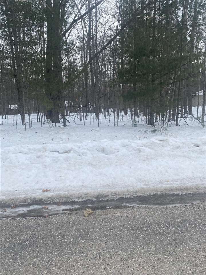 Property Photo:  11115 Douglas Lake  MI 49769 