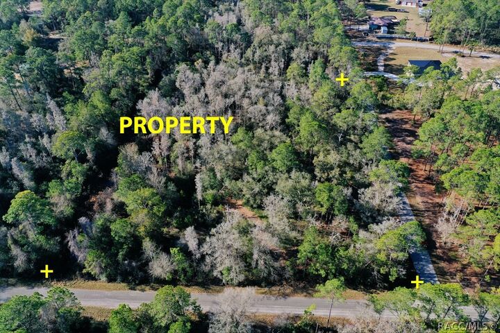 Property Photo:  9485 N Beechtree Way  FL 34428 