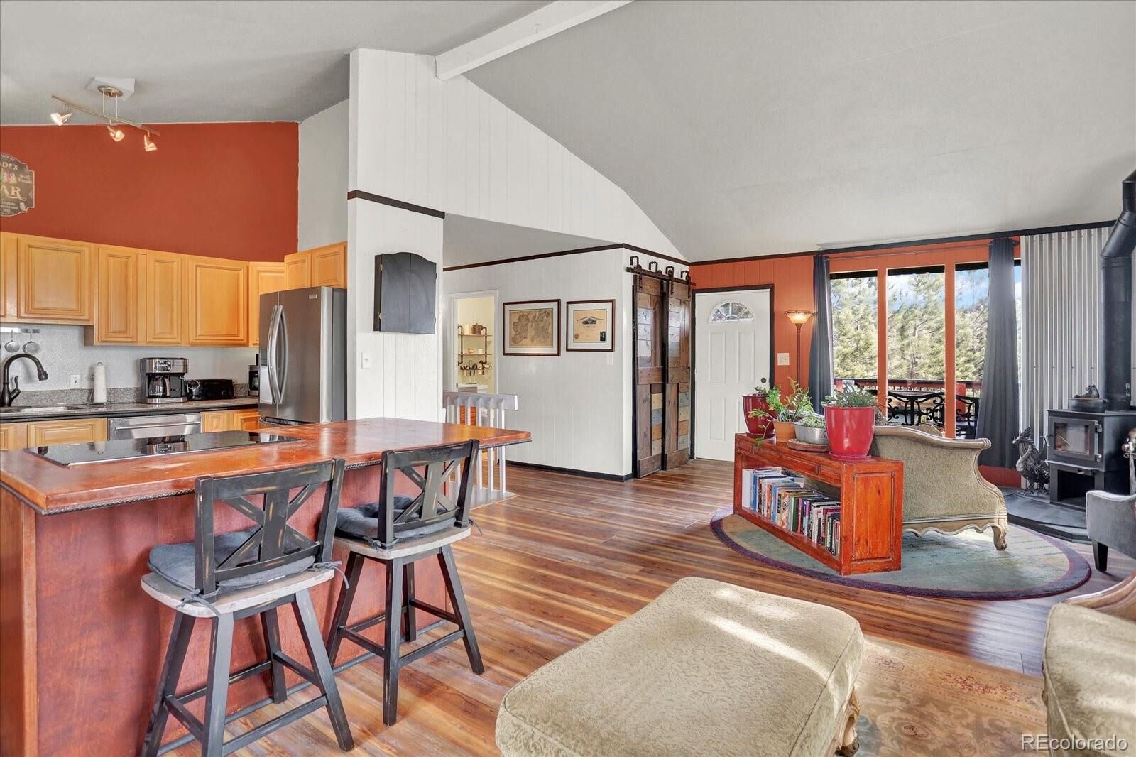 Property Photo:  249 Burland Drive  CO 80421 