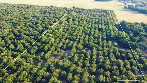 Property Photo:  N/A Tx-16 Highway  TX 76444 