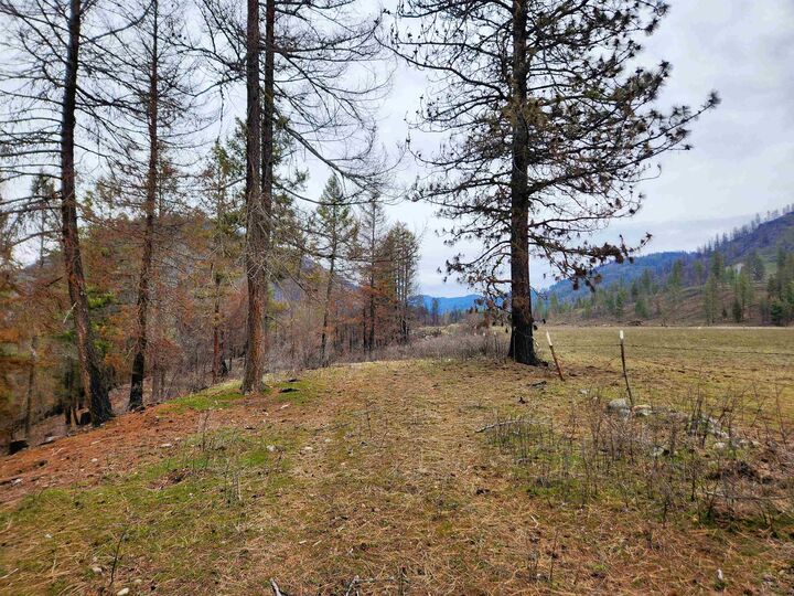 Property Photo: 34xx Northport Flat Creek Rd WA 99141-9999