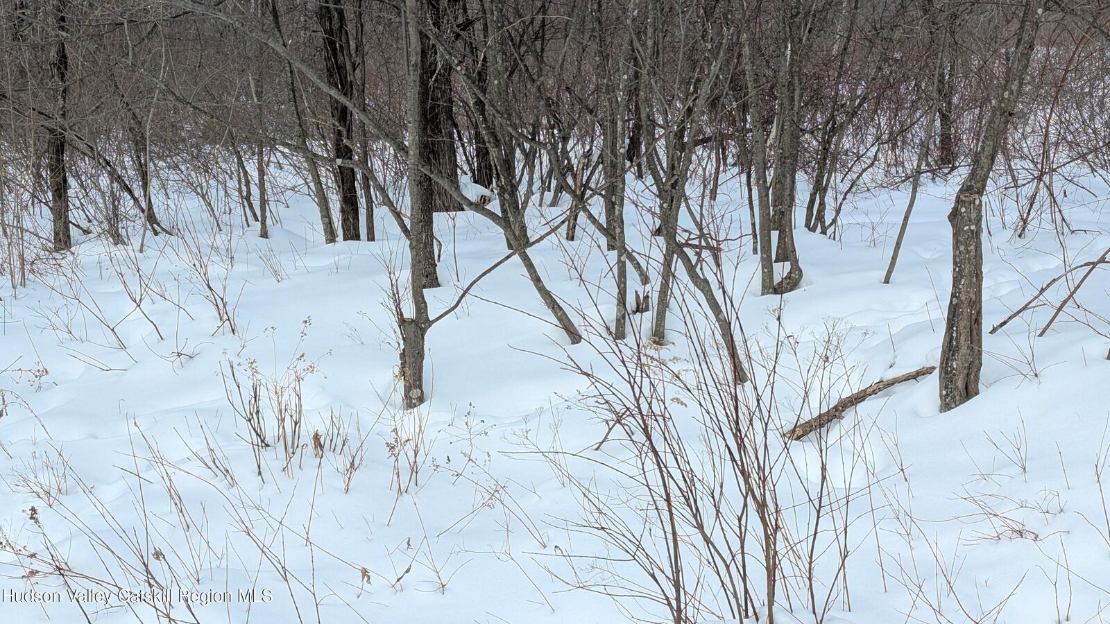 Property Photo:  0 High Peak Road Lot 61 &Amp 20  NY 12496 