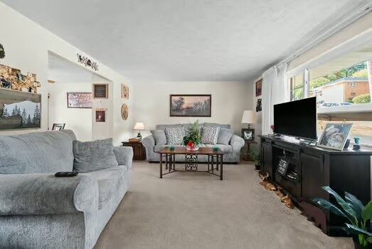 Property Photo:  665 Summerlea Ave  PA 15301 