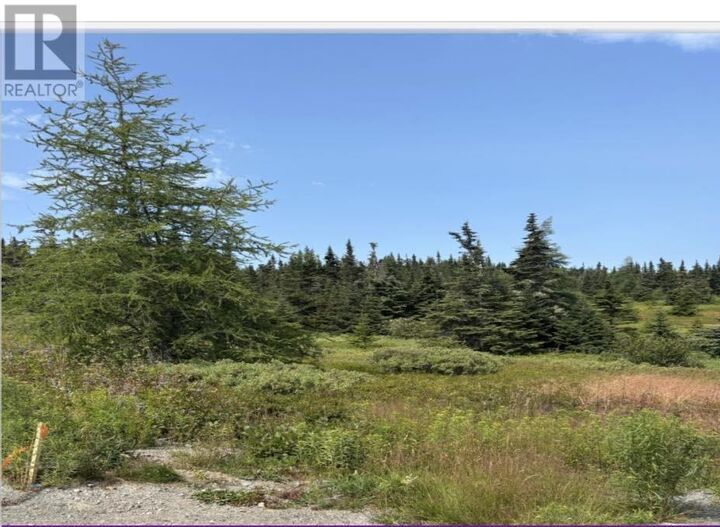 Property Photo:  17 Batsons Road  NL A0C 2H0 