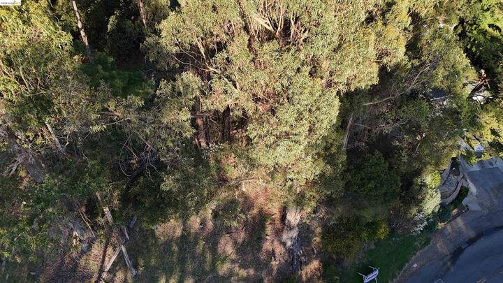 Property Photo:  5847 Ascot Dr  CA 94611 