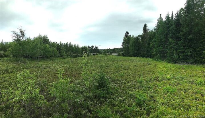 Property Photo:  977 Route 770  NB E5C 1C8 