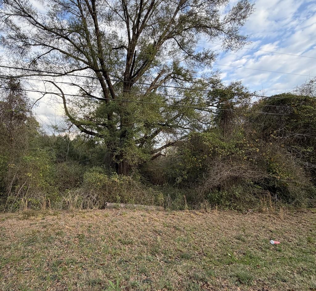 Property Photo:  728 Parkhill Drive  GA 31907 