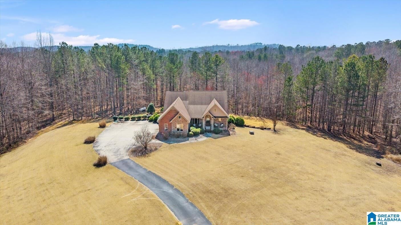 Property Photo:  17438 Highway 78  AL 36262 