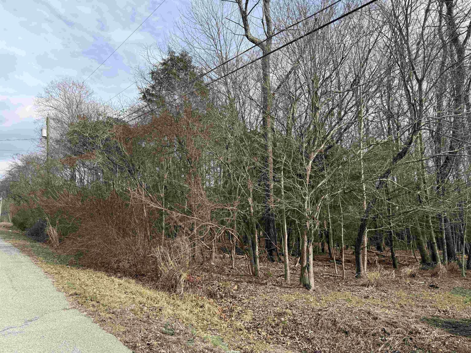 Property Photo: Tbd Country Acres Drive VA 24060