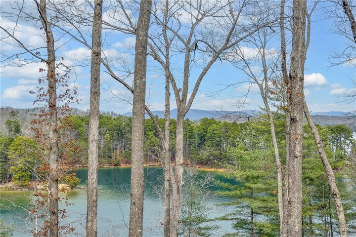 Property Photo:  731 Barberry Court  SC 29676 