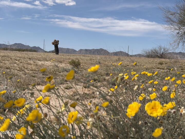 Property Photo:  37138 Six Shooter Road 3  AZ 85348 