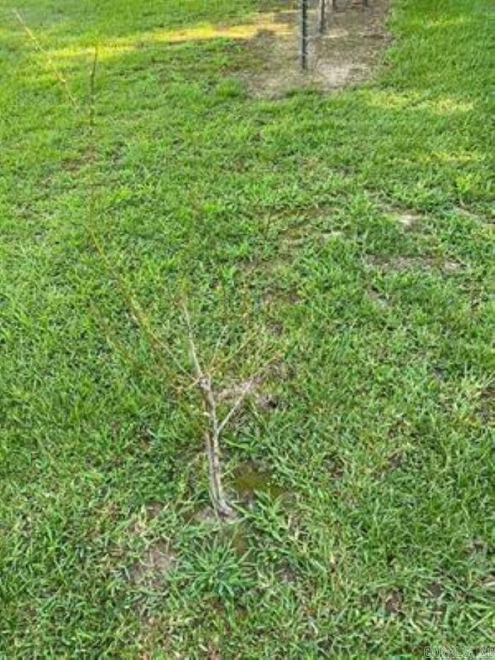 Property Photo:  0 Lee Ave  AR 72034 