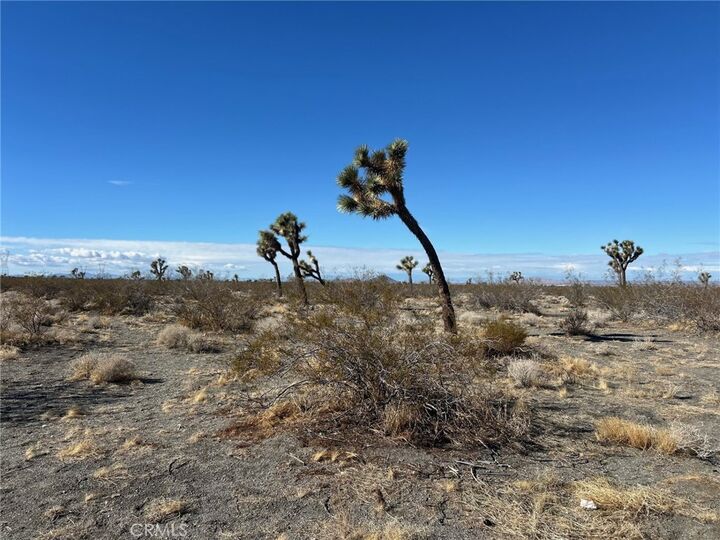 Property Photo: 0 Silver Rock Road CA 92372