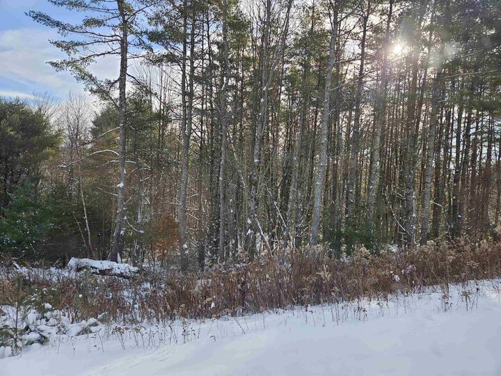 Property Photo:  Lot 3.1 Off Parker Road  NH 03585 
