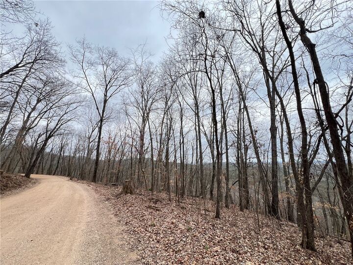 Property Photo:  Tbd Cr 246 265-00160-000  AR 72616 