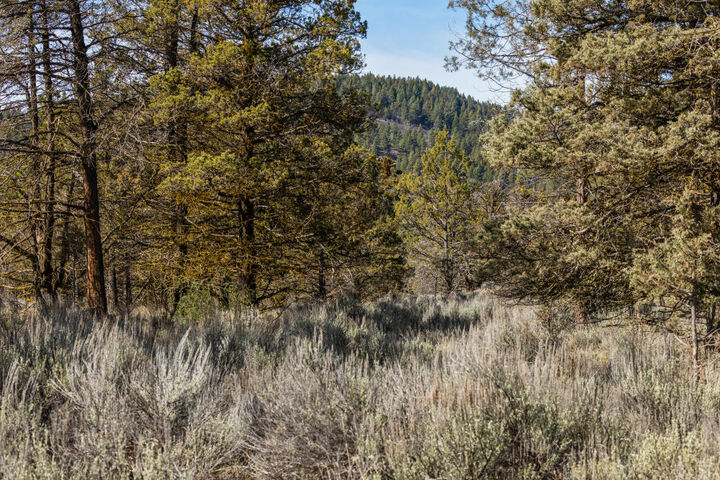 Property Photo:  1124 Vine Maple Drive  OR 97601 