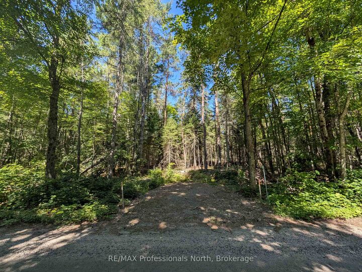 2246 Yearley Road — photo 1