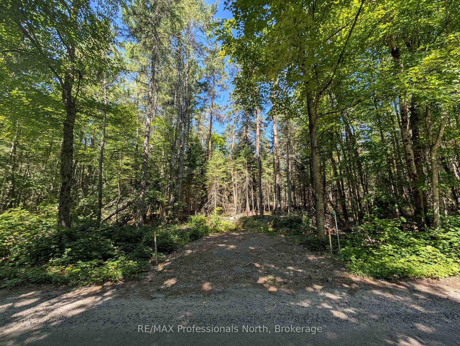 Property Photo:  2246 Yearley Road  ON P0A 1Y0 