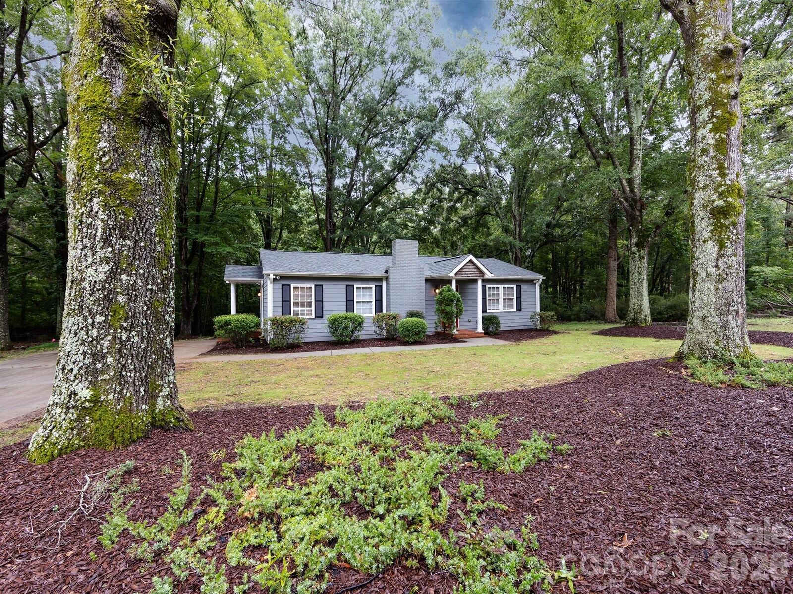 Property Photo:  3109 Forest Lawn Drive  NC 28104 