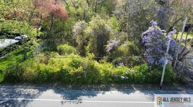 Property Photo:  0-0 Dickinson Avenue  NJ 08205 