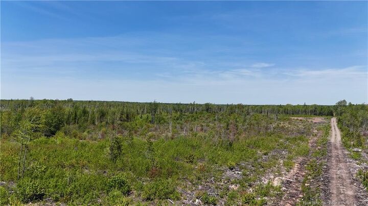Property Photo: Lot Arthur Symes Lane NB E4T 2M5