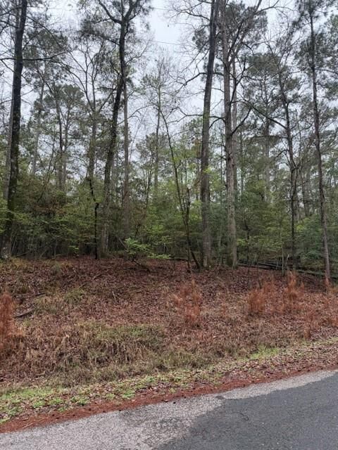 Property Photo:  Lot 39, 40 &Amp 41 S Lakeview Drive  TX 77364 