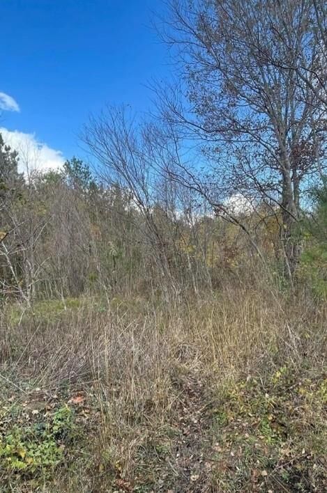 Property Photo:  L93044 Casey Road  TX 75901 