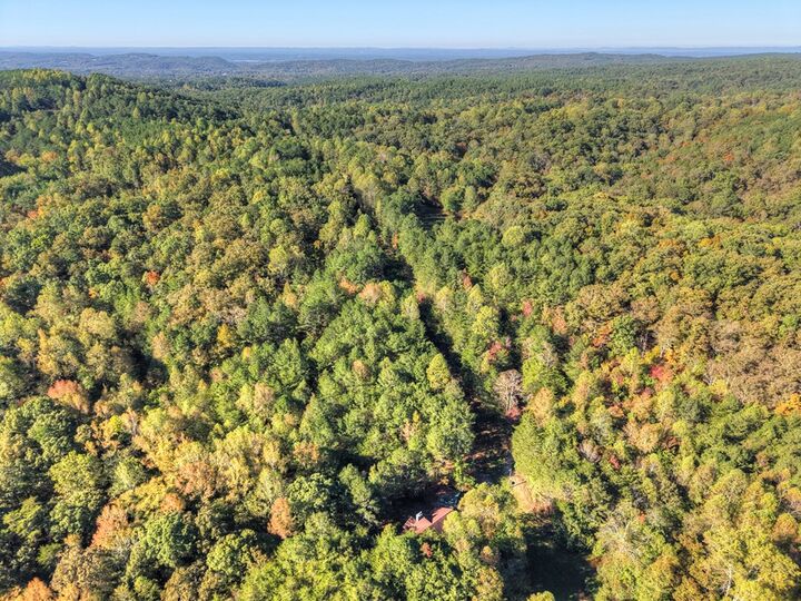 Property Photo:  523 Long Branch Road  GA 30734 