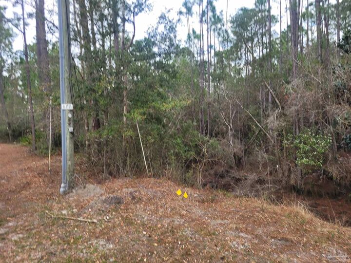 Property Photo:  0 Havburg Dr  FL 32506 
