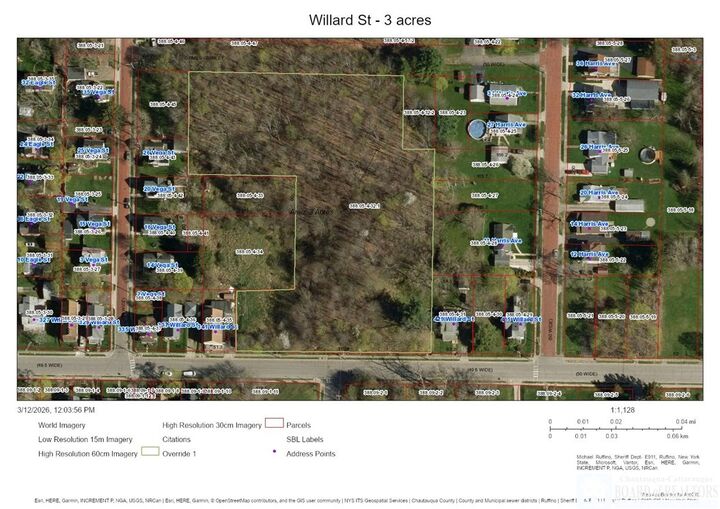 Property Photo:  0 Willard Street  NY 14701 