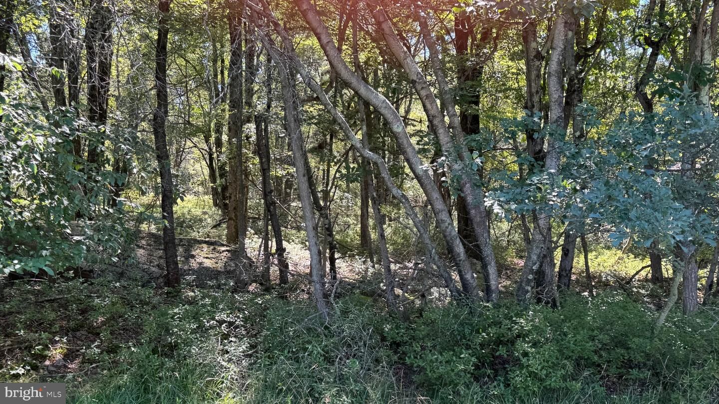 Property Photo:  Lot 45 Elk Drive  PA 18610 